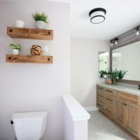 Hall bathroom with hickory vanity, shiplap walls and hex floor tile